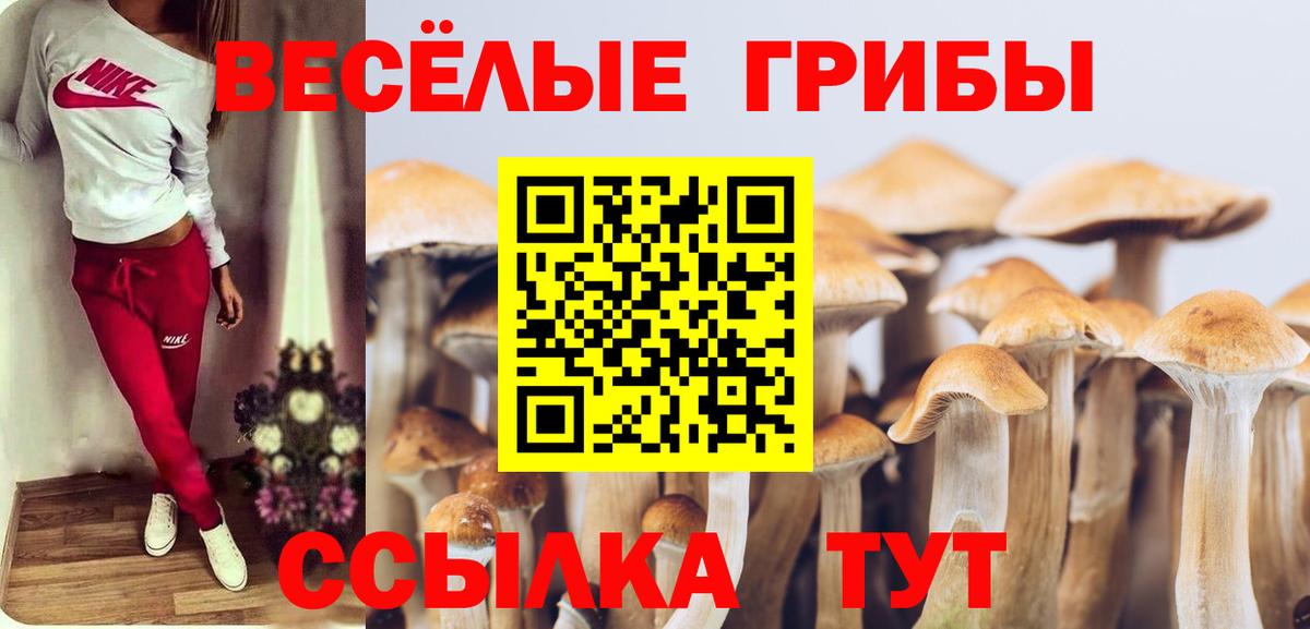 Галлюциногенные грибы мухоморы  Вход с VPN  дарнет шоп  Сочи 