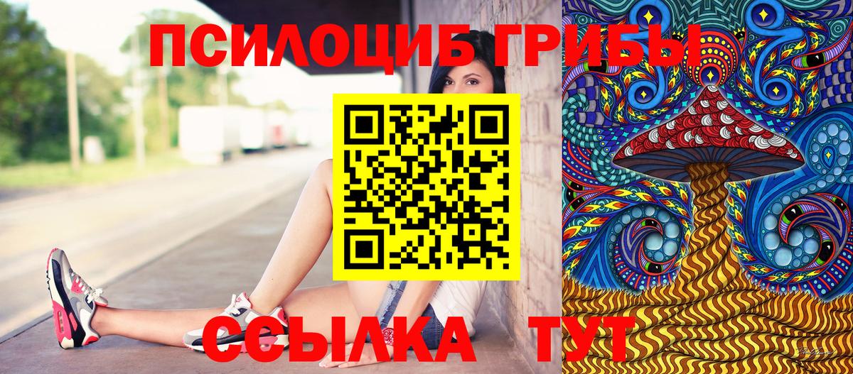 Псилоцибиновые грибы MAGIC MUSHROOMS Сочи